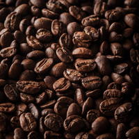 Café arabica