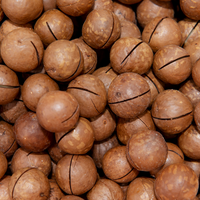 Huile de macadamia